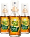 Spray pour la gorge de propolis d'abeille– Spray pour le miel apaisant et la propolis de gingembre- Support naturel immunitaire et extrait de propolis d'abeille-antioxydants, riche en flavonoïdes et Artepillin, sans sucre, sans gluten- 3-pack, 90ml