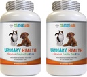 Dieta urinaria del cane - Animali domestici Complesso sanitario urinario - per cani e gatti - Supporto avanzato della vescica - uva Ursi per cani - 2 bottiglie (180 Trattati)