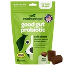 Probiotiques Chews pour les chiens Gut Health (en anglais seulement) Pré et probiotiques savoureux pour les chiens Santé digestive avec probiotiques et enzymes digestives de la citrouille NASC certifié et fabriqué aux États-Unis (en anglais seulement) 90 Chews