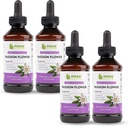 Maxx Herb Passion Flower Extract - Max Strength Passion-Flower Liquid Absorbs Better Than Capsules, for Relax and Stress Relief, Alcohol-Free - 4 Bottiglie, 4 Oz Ogni (240 Serve)