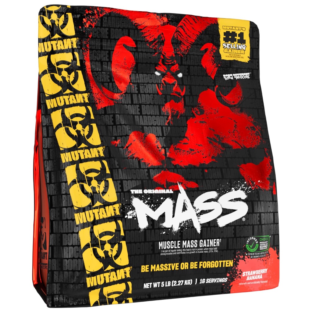 Masse mutante: Poids Gainer Protéine Poudre - haute teneur en protéines de calories Poudre pour gain de masse - Banane de fraise - 5 livres