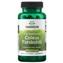 Swanson Full Spectrum Coleus Forskohlii 400 Milligramme 60 Kapseln