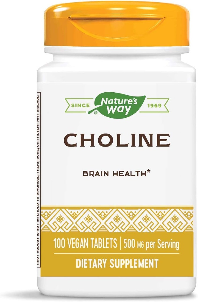 Nature's Way Choline, 500 mg pro Portion, 100 Tabletten (Pack von 2)