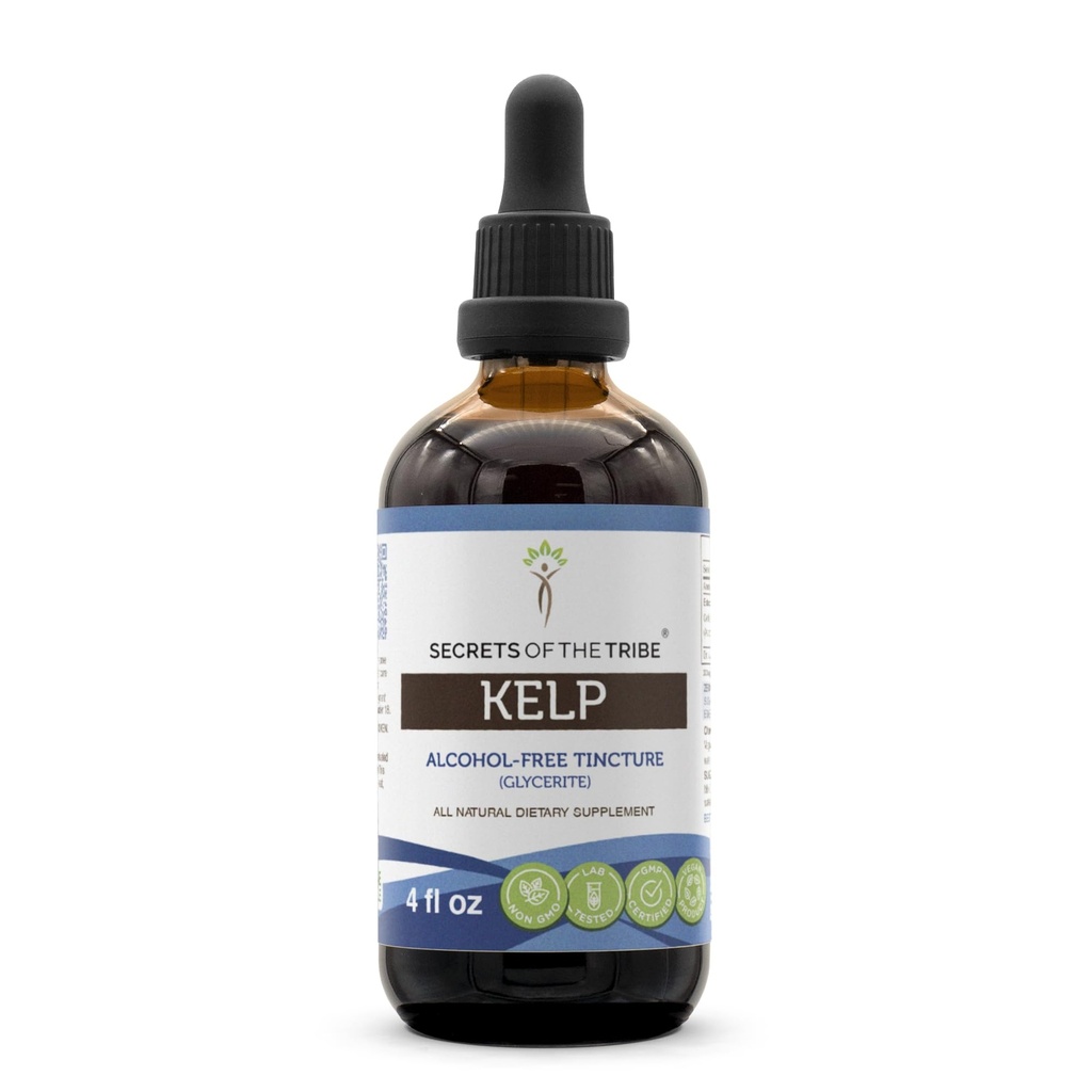Secrets de la Tribe Kelp Tecture Extrait liquide sans alcool, Kelp (Ascophyllum nodosum) Usine séchée (4 FL OZ)