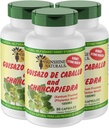 Sunshine Naturals Guisazo & Chancapiedra Herbal Blend, integratore alimentare naturale per il supporto benessere, 90 capsule. Confezione da 3