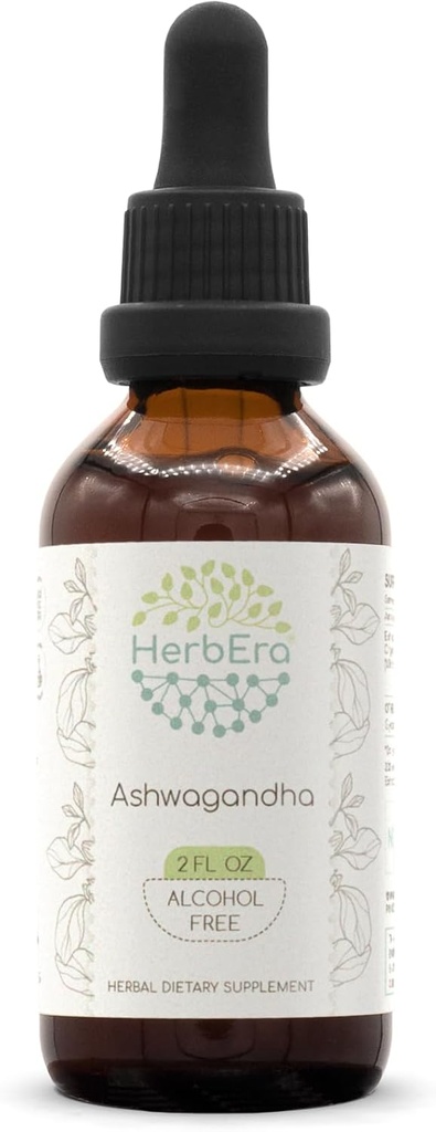 HerbEra Ashwagandha B60 Teinture d'extrait de plantes sans alcool, super concentrée (Shui Qie, Ginseng indien, Withania Somnifera) 2 fl oz