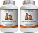 Hund probiotische Verdauungsenzyme - PET PROBIOTIC - DOGS UND CATS - DIGESTIVE BOOST - GET RID OF BAD BREATH UND STOP DIARRHEA - Lactobakillus salivarius probiotic - 2 Flaschen (120 Treats)