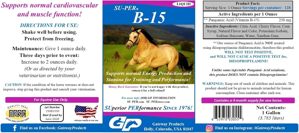 SU-PER B-15 Vitamin-Ergänzung für Pferde - Equin Vitamin B-15 Flüssigkeit für Leistungsunterstützung - Unterstützt normale Herz-Kreislauf Immun- & Muskel-Funktion - 1 Gallon + Pumpe, 4 Monate Versorgung