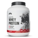 Livelli Grass Fed Whey Protein Polvere, nessun artificiale, 24G di proteine, fragola, 5LB