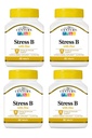 21ème siècle Stress B W/Zinc 66 Compte (4 Pack)