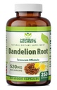 Herbal Secrets Dandelion Root 520 mg Veggie Kapseln Ergänzung | Non-GMO | Gluten Free | Made in USA (250 Count)