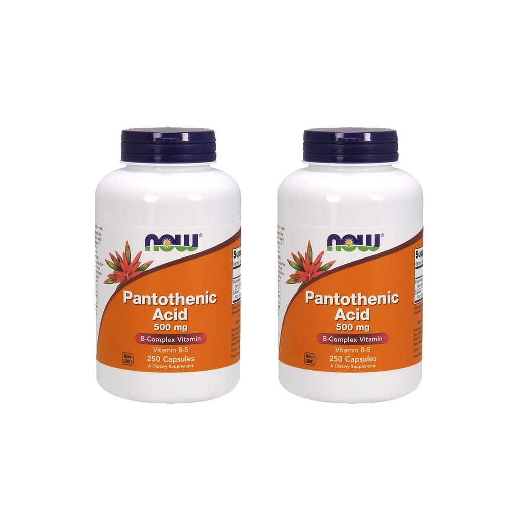 Maintenant Aliments Acide pantothénique 500 mg, 250 Capsule (2 Pack)