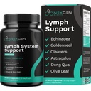 Integratore di supporto del Lymph System Erbale - Complesso di supporto linfatico con Astragalus d'oro Echinacea & Hydroxytyrosol per il drenaggio linfatico & supporto immunitario - Vegan Non-GMO Gluten Free (1 mese)