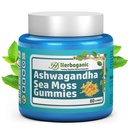HERBOGANIC Ashwagandha Sea Moss Gummies - 60 comte