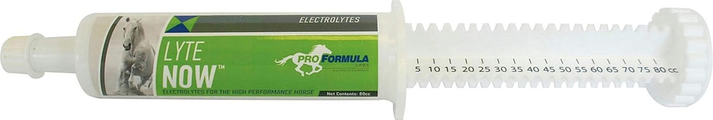 Uckele Lyte jetzt Syringe für Pferde - Full Spectrum Electrolyte Paste für Pferde - Equine Mineral Fluid Replenishment - 3 Doses - 80 CC