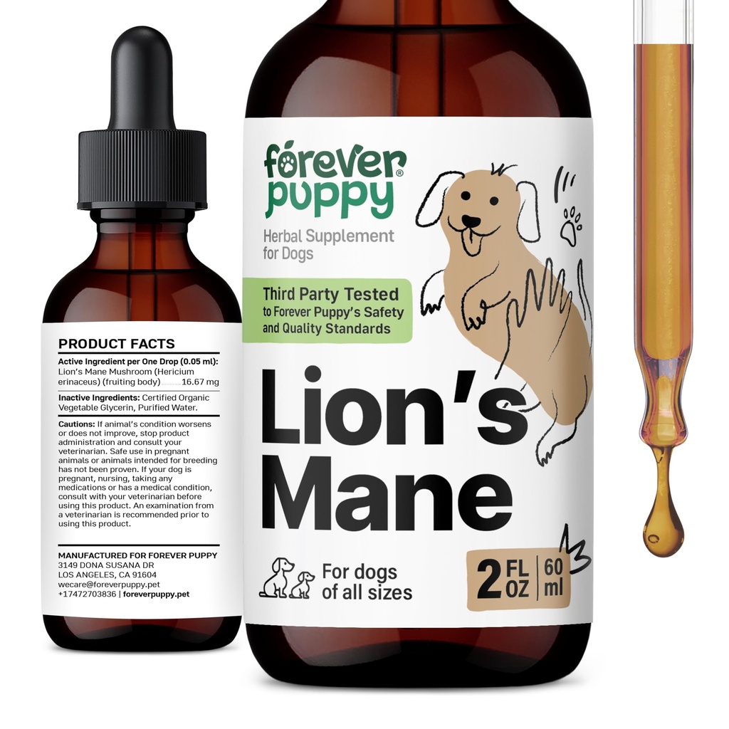 Forever Puppy Lions Mane Mushroom Supplement für Hunde - Brain & Focus Support - Liquid Lion's Mane Mushroom für Hunde - Canine Vitamins and Supplements - Zucker & Alkoholfreie Tropfen - 2 fl oz