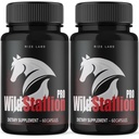 rize labs Wild Stallion Pro Capsules, Wild Stallion Pro für Männer, Wild Stallion Pro Performance Supplement Bewertungen, Wild Stallion Pro Male Support (120 Kapseln) (Pack von 2)