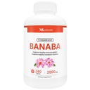 ML Naturals Standardized Banaba 2000 mg 240 Capsules végétales. Soutient le système immunitaire sain et la fonction métabolique. Non-OGM, NSF-Certifié et cGMP-Compliant