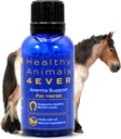 HA4E - Pferde-Anämie-Unterstützung - Hilft, Krankheiten und Parasiten zu verhindern - Highly Effective, Natural Homeopathic Supplement - 300 Tabletten