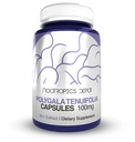 Nootropics Depot Polygala tenuifolia Capsule | 100mg | 90 Count | 20:1 Extract | Yuan Zhi | Promuove la funzione cognitiva, l'apprendimento e la memoria | Supporti livelli di stress sani | Supplemento adaptogen
