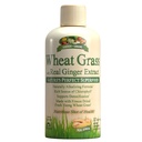 Garden Greens Wheat Grass Liquid with Real Ginger Extract, Nature's Perfect Superfood, 32 servings