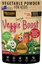 Polvere vegetale per bambini Veggie Boost Probiotics fibre Super Greens Pea Protein Nutritious Supplement Savoury Flavored 3.52oz (100g)