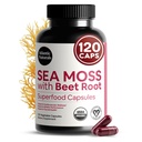 Atlantic Naturals Sea Moss con Beet Root Capsule - Premium Quality Multivitamin Supplement - Sea Moss Superfood to Support Immune Health, Blood Flow, Joint Health & Athletic Performance - 120 ct