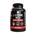 PURE ORIGINAL INGREDIENTS L-Lysin HCl (365 Kapseln) Kein Magnesium oder Reisfüller, Immer rein, Lab Verifiziert