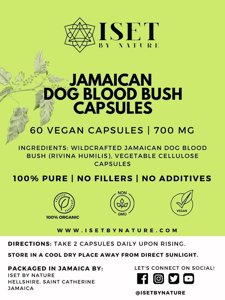 Iset Da Natura Giamaicano Cane Sangue Bush capsule 1400mg - Integratori di fertilità per le donne per sostenere l'equilibrio dell'ormone & Concezione, PCOS Rilievo con organico Giamaicano Cane Sangue Herb - 60 capsule, Vegan