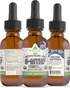 RawGuru L-Methylfolate 15 mg + Vitamin B12 - Organic Vegan Methylated B12 with Trace Minerals - Nano-Processed & Enhanced Liquid Formula - 300 Servings Vegan Drops per 30 ml, Pack of 1