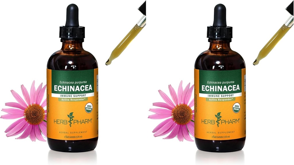 Herb Pharm Certified Organic Echinacea Root Liquid Extract for Immune System Support, Organic Cane Alcohol, 4 Ounce (Pack of 2)