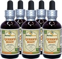 Radice della regina (Stillingia Sylvatica) Tintura, Estratto liquido di radice secca (Nome: HerbalTerra, Proudly Made in USA) 5x2 fl.oz (5x60 ml)