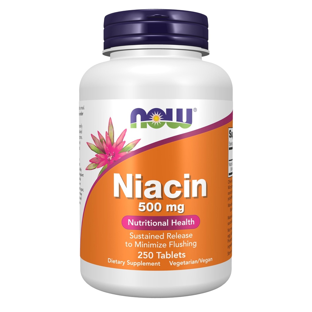 JETZT Nahrungsergänzungsmittel, Niacin (Vitamin B-3) 500 mg, Sustained Release, Ernährungsgesundheit, 250 Tabletten