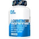 Integratore EVL L-Carnitina per il supporto per la perdita di peso - Tartrato L Carnitina per la messa a fuoco di energia cellulare Endurance e Fat Burning Support - Aminoacido Stimulant gratuito per il metabolismo grasso (120 Serve)