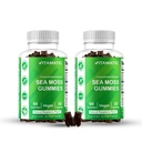 Vitamatic 2 Pack Irish Sea Moss Gummies – 3000 mg Équivalent par portion (132,5 mg Extrait) – 60 Compte – Fabriqué avec Bladderwrack & Burdock Root – Soutient la santé thyroïde, énergétique et immunitaire
