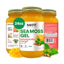 Sea Moss Gel Ashwagandha Mango (25 Flavors) 24oz Wildсrafted Gold Sea Moss Gel da Saint Lucia | 92 Vitamine e Minerali | Pure Raw+ Non-OGM