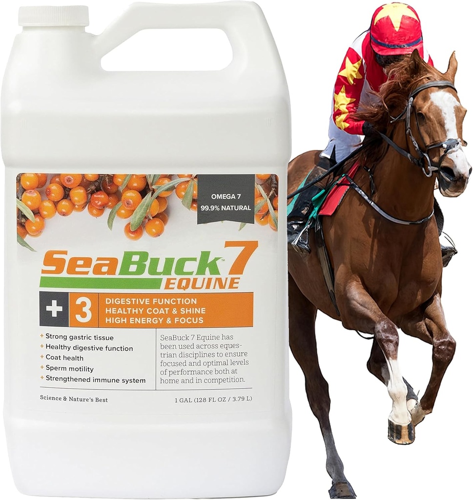 SeaBuck 7 Equine Supplemento per cavalli con secchione marino per migliorare la salute dei cavalli (3-6 settimane di alimentazione, 1 gallone) – Supporta l'alimentazione sana e digestione, l'energia aumentata/Focus, & Shiny Coats per cavalli