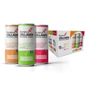 Reneva Collagen Protein Drink - 10g Peptidi del collagene, Elettroliti, B-Vitamins, Zinco e Zucchero Zero (Variety Pack)