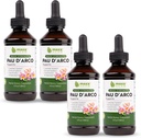 Maxx Herb PAU D'Arco Tincture - Max Strength PAU Darco Extract for Immune Support, Taheebo Tea Inner Bark Absorbs Better Than PAU Darco Capsules – 4 bottiglie, 4 Oz Ogni (240 Servings)