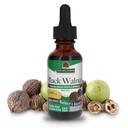 Nature's Answer Black Walnut Hull Extract Alcohol Free 1 Fluid Ounce | Natural Cleanser | Promotes Gesamt Wohlbefinden | Gluten-Free | Non-GMO | Vegan | Single Count