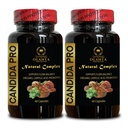 Candida Support Complex - Organic caprylic Acid Capsules, Candida Supplement, Natural Herbs for Intestinal Detox, Adults Regularity and Gut Health - 2 Bottles 120 Capsules