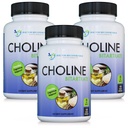 DOCTOR EMPFEHLUNGEN Premium Choline - 500 mg - 120 Veggie Kapseln unterstützt kognitive Gesundheit, Gedächtnis &amp; Mehr - 3 Pack