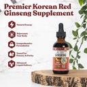 Aktiver Ginseng koreanischer Roter Panax Ginseng mit natürlichen Ginsenosiden - Fast-Absorbierende Flüssigkeit - Unterstützt gesunde Energie, Vitalität, Stimmung und mehr