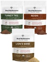 Polvere dell'estratto del mane del leone (60g) | Polvere dell'estratto del reishi 415 (45g) | Polvere dell'estratto della coda della Turchia (45g) | Mushroom organico, non OGM, Vegan