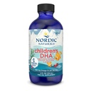 Nordic Naturals Kinder DHA, Erdbeere - 4 Unze für Kinder- 530 mg Omega-3 mit EPA & DHA - Gehirnentwicklung & Funktion - Non-GMO - 48 Servietten