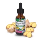 Nature's Answer Ginger Root Extract Supplement mit Bio-Alkohol 1 flüssige Unze | Gelenkschmerzen Relief | Entzündungsunterstützung | Hilft gesunde Verdauung zu erhalten