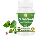 Capsules de Punarnava (Boerhaavia Diffusa) 500mg – 60 Capsules de Vég. Supplément de bien-être à base de plantes pour le rein naturel et le soutien du foie.