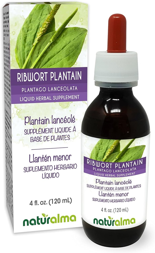 Naturalma Ribwort Plantain o Narrowleaft Plantain (Plantago lanceolata) Leaf Alcohol-Free Tincture - 4 fl oz Liquid Extract in Drops - Herbal Supplement - Vegan