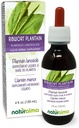 Naturalma Ribwort Plantain ou Narrowleaft Plantain (Plantago lanceolata) Teinture sans alcool - 4 fl oz Extrait liquide dans les gouttes - Supplément à base de plantes - Vegan
