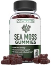 Irish Sea Moss Gummies - 3000MG - Formulated w/ Irish Sea Moss, Bladderwrack & Burdock Root, Enthalten essentielles Vitamin & Mineral - Antioxidant-Rich Superfood Supplement, 60 Sea Moss Gummi für Erwachsene